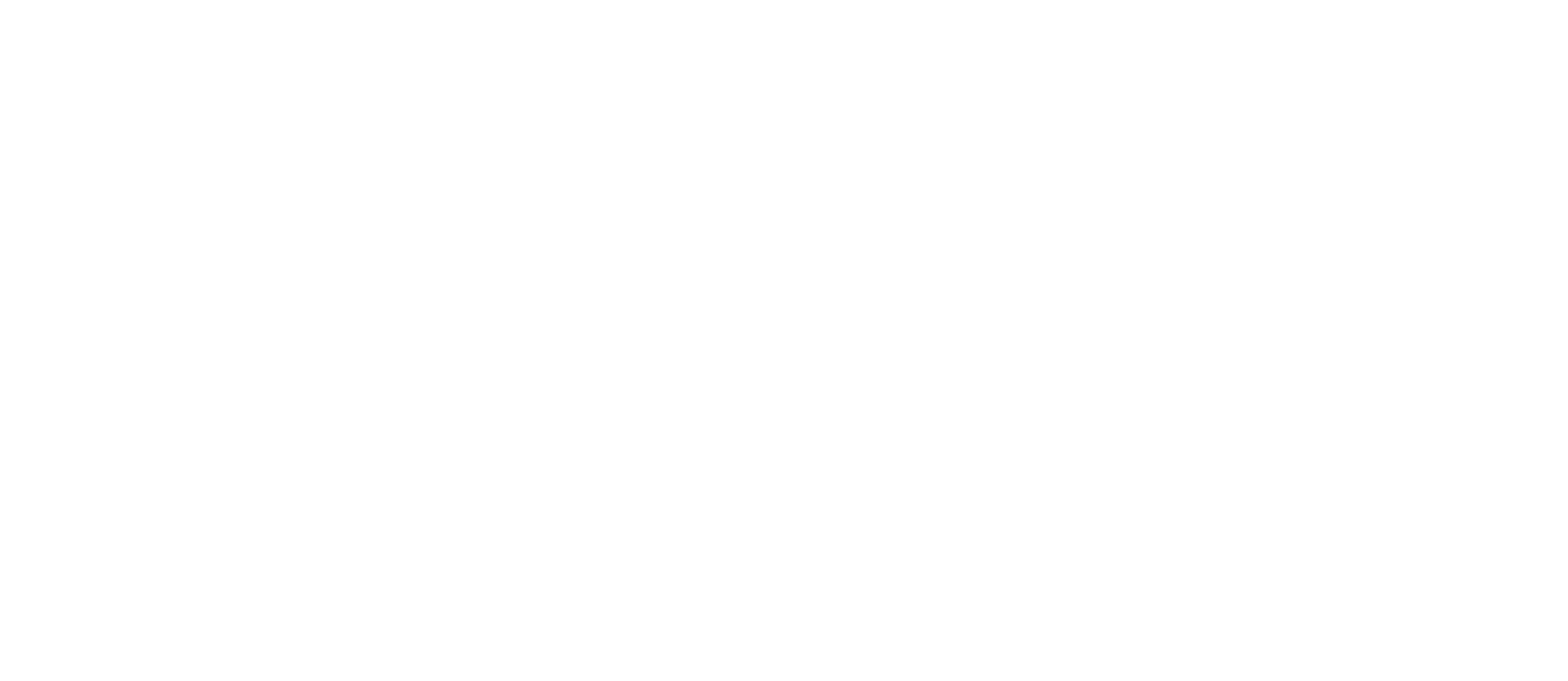 Expertos de inversiones en diferentes sectores financieros.